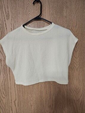 Shein Classic Cream Cropped Knit Top - Women's Large